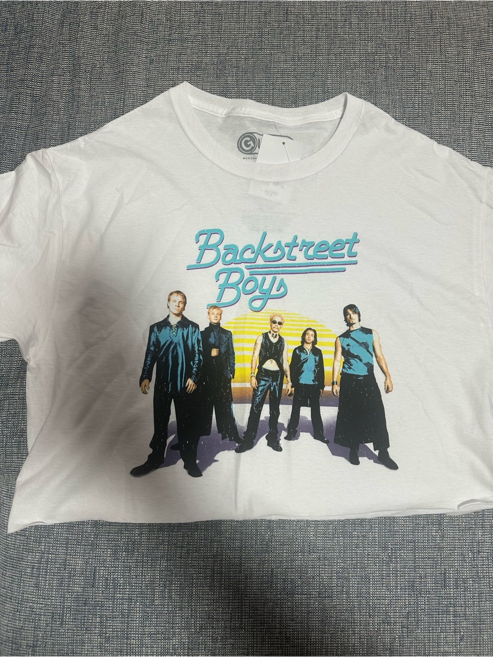 Backstreet Boys Crop Top